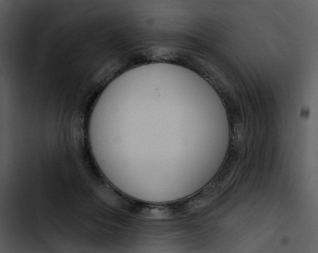 X0000102850506200809081246