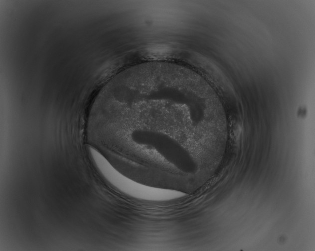 X0000102850507200809081246