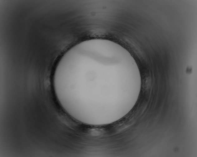 X0000102850508200809081246