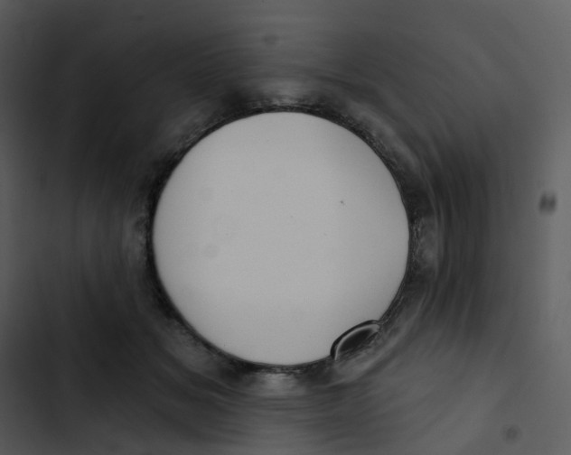 X0000102850509200809081246