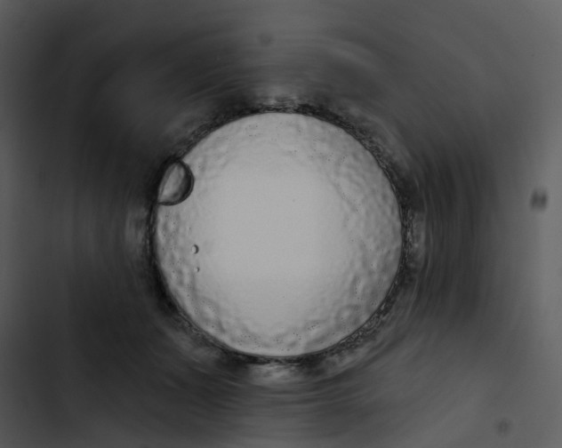 X0000102850511200809081246