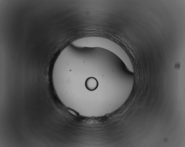 X0000102850512200809081246