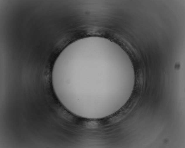 X0000102850513200809081246