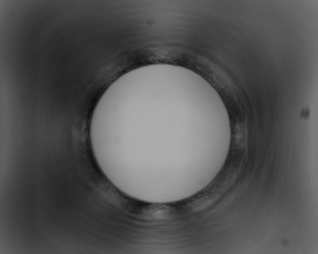 X0000102850514200809081246