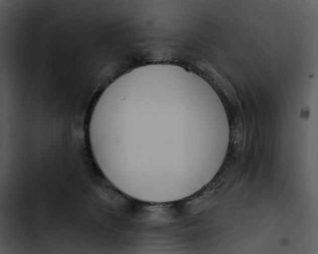 X0000102850516200809081246