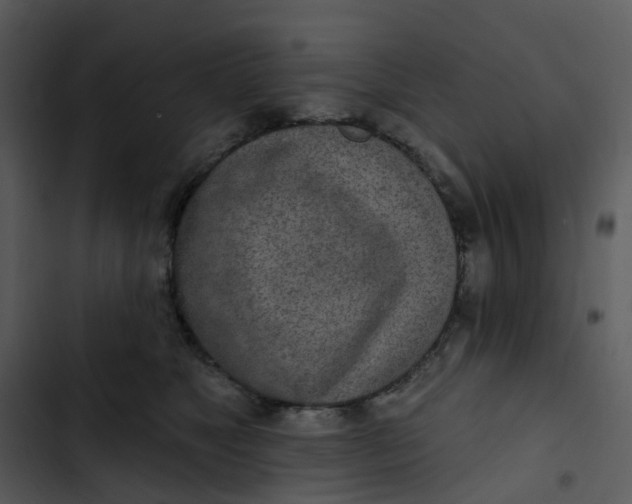 X0000102850517200809081246