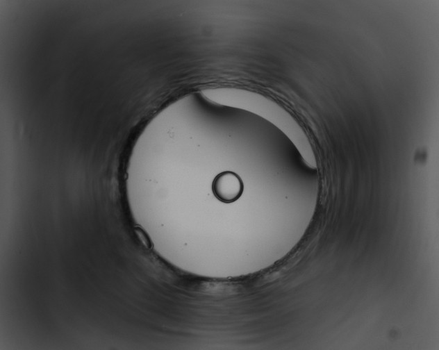 X0000102850520200809081246