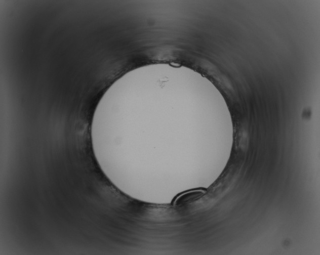 X0000102850521200809081246