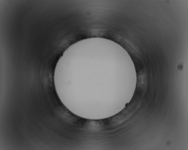 X0000102850522200809081246