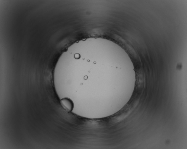 X0000102850523200809081246