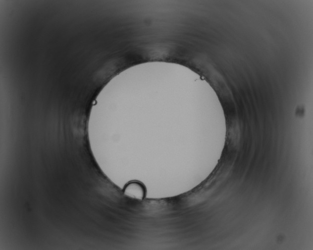 X0000102850525200809081246