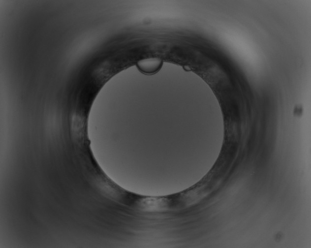 X0000102850526200809081246