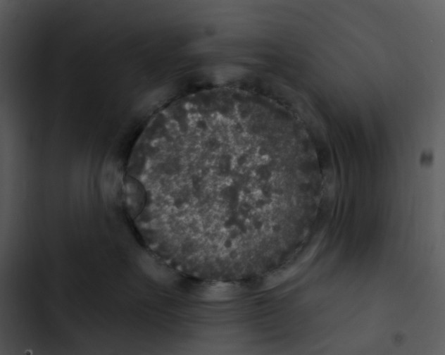 X0000102850527200809081246