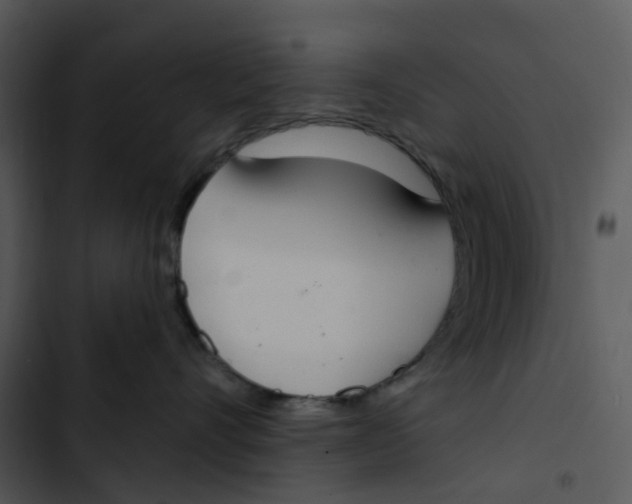 X0000102850528200809081246