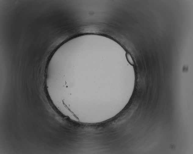 X0000102850529200809081245