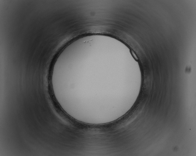 X0000102850530200809081245