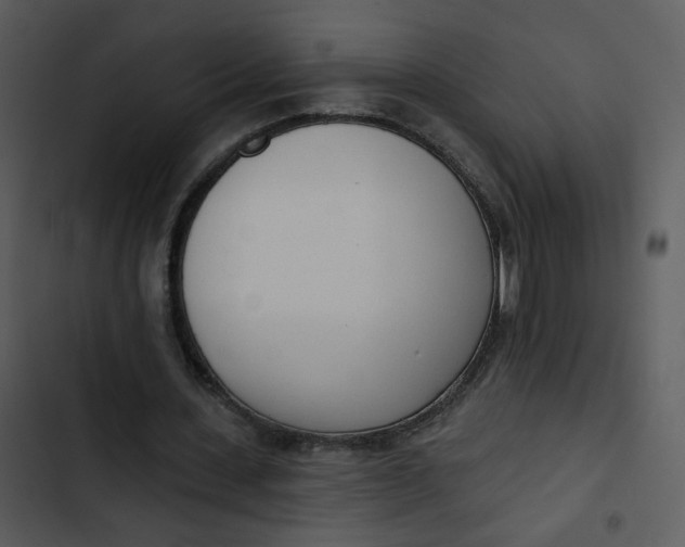 X0000102850531200809081245