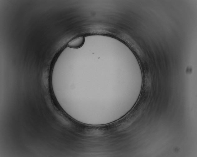 X0000102850533200809081246