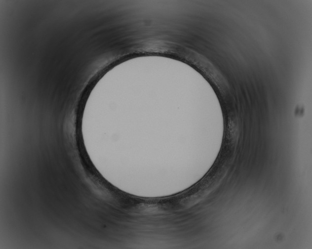 X0000102850534200809081246