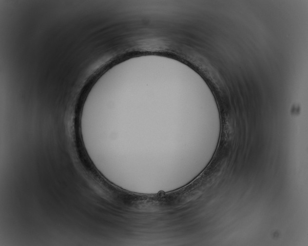 X0000102850535200809081246