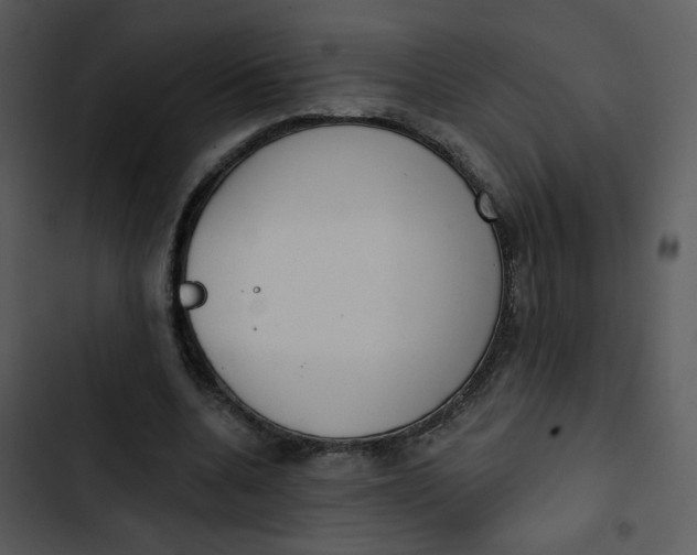 X0000102850536200809081246