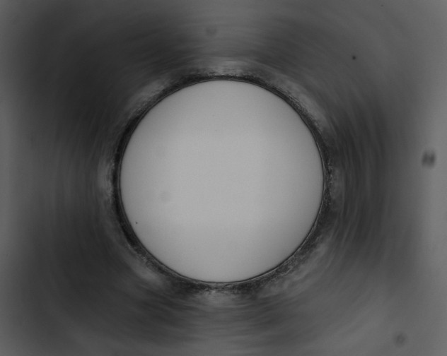 X0000102850537200809081246