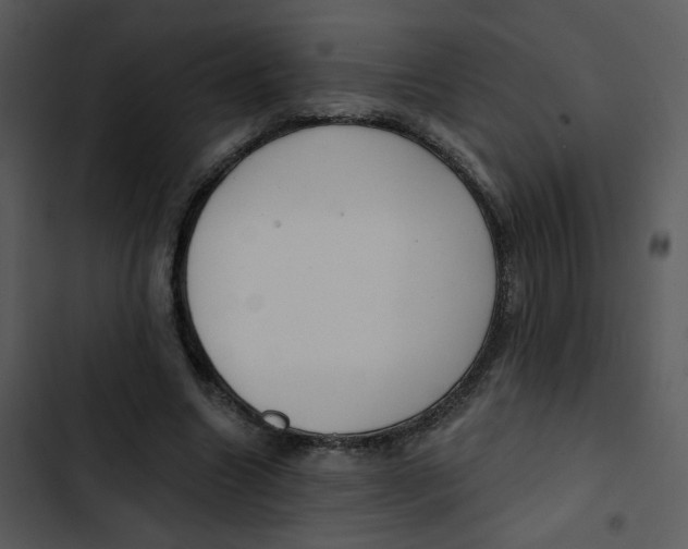 X0000102850538200809081246