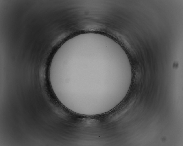 X0000102850539200809081246