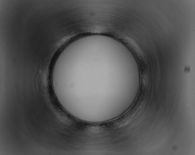 X0000102850540200809081246