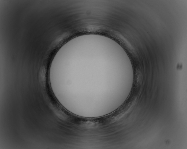 X0000102850542200809081246