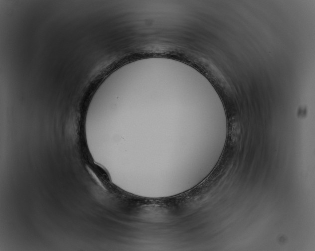 X0000102850544200809081246