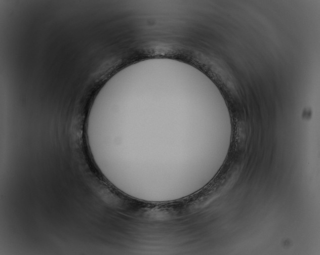 X0000102850545200809081246