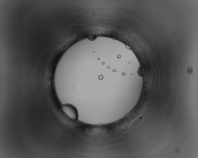 X0000102850546200809081246