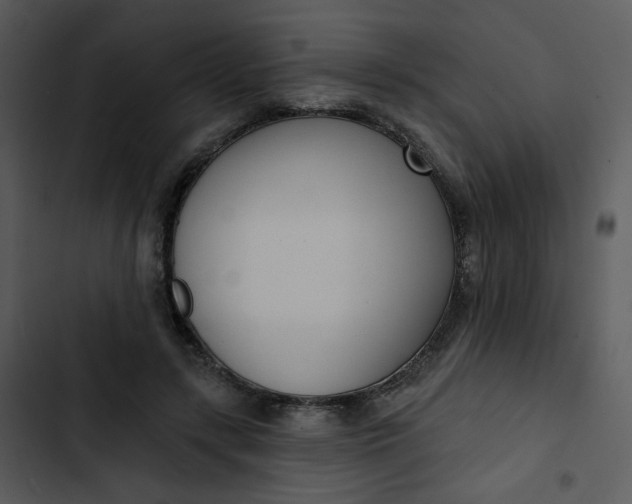 X0000102850547200809081246