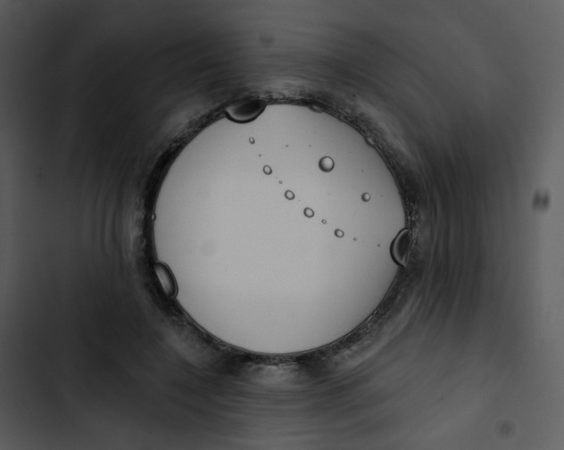 X0000102850548200809081246