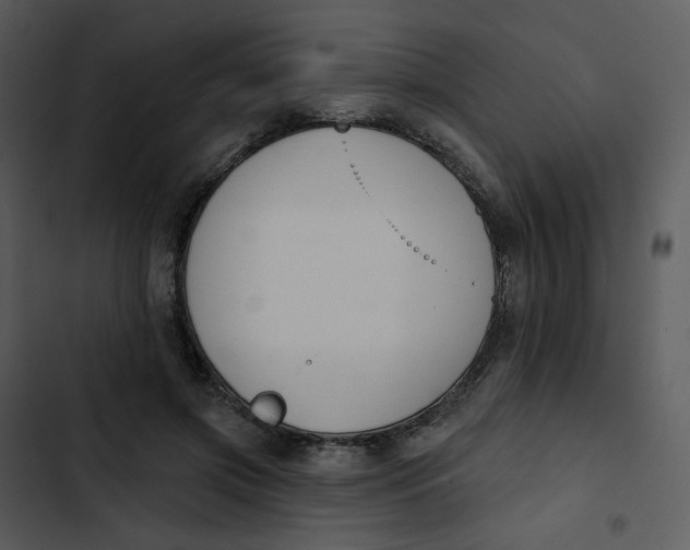 X0000102850549200809081246