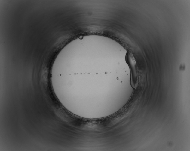 X0000102850550200809081246