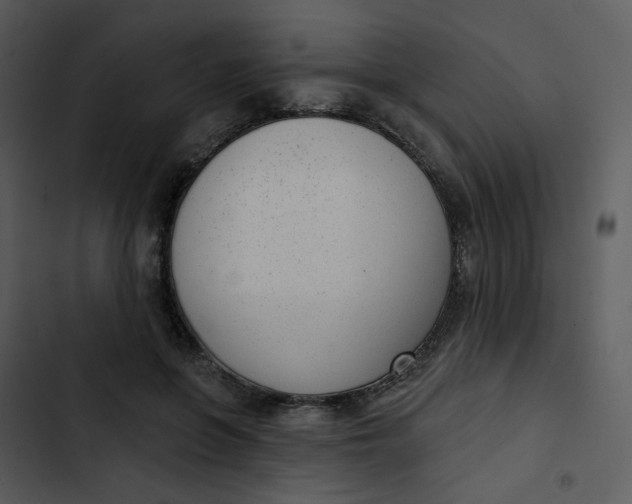 X0000102850551200809081246