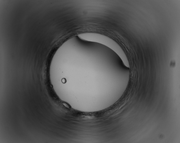 X0000102850552200809081246