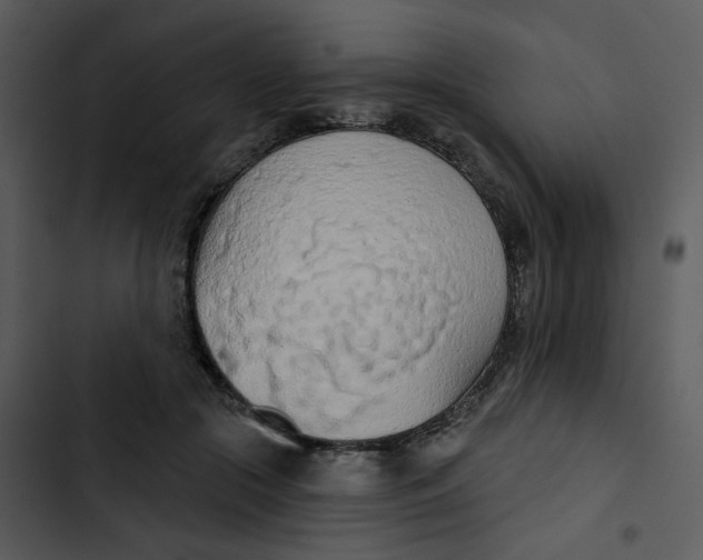 X0000102850553200809081246