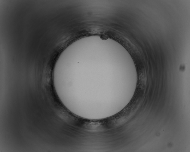 X0000102850554200809081246