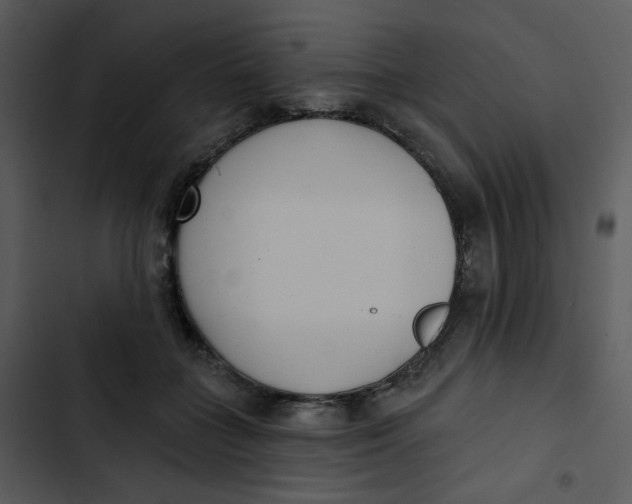 X0000102850555200809081246