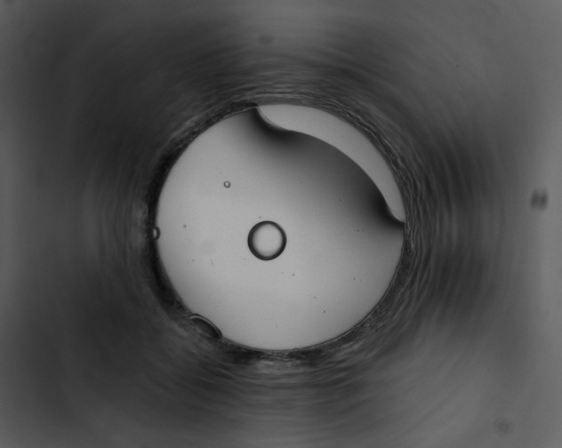 X0000102850556200809081246