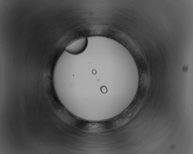 X0000102850557200809081246