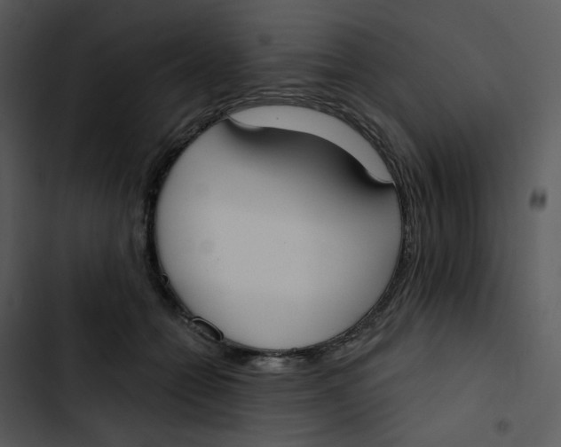 X0000102850558200809081246