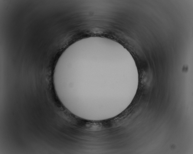 X0000102850559200809081246