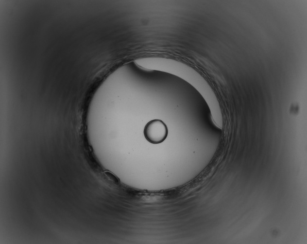 X0000102850560200809081246