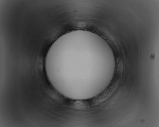 X0000102850562200809081246