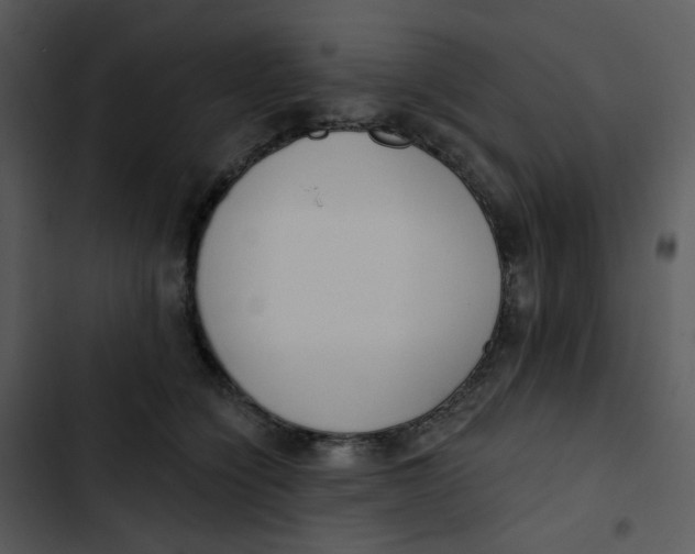 X0000102850564200809081246