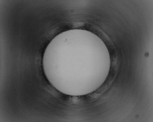 X0000102850565200809081246